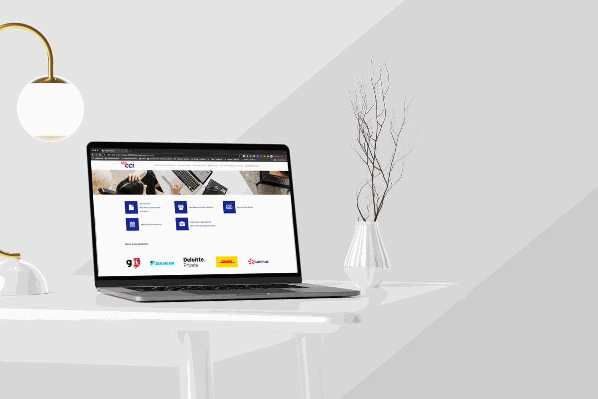 Odoo • Texte et Image